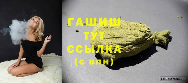 прущие грибы Гусиноозёрск