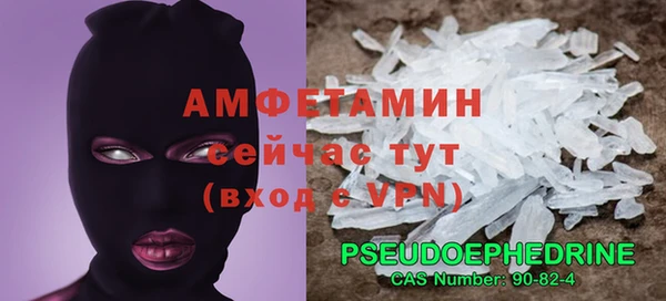 прущие грибы Гусиноозёрск