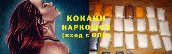 прущие грибы Гусиноозёрск