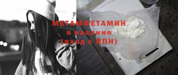 прущие грибы Гусиноозёрск