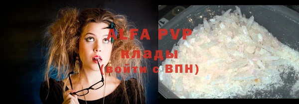 прущие грибы Гусиноозёрск