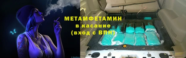 прущие грибы Гусиноозёрск