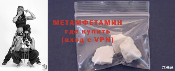 прущие грибы Гусиноозёрск