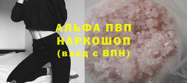 прущие грибы Гусиноозёрск