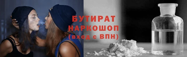 прущие грибы Гусиноозёрск