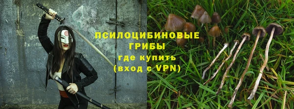 марки nbome Гусь-Хрустальный