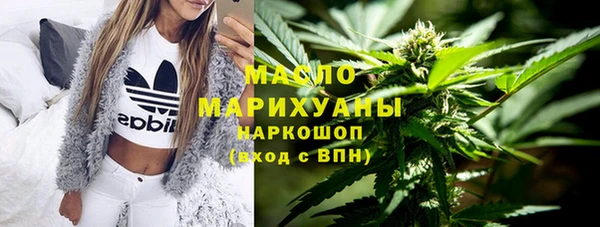 прущие грибы Гусиноозёрск