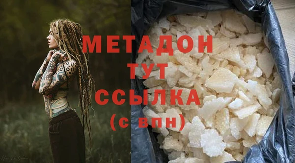 прущие грибы Гусиноозёрск