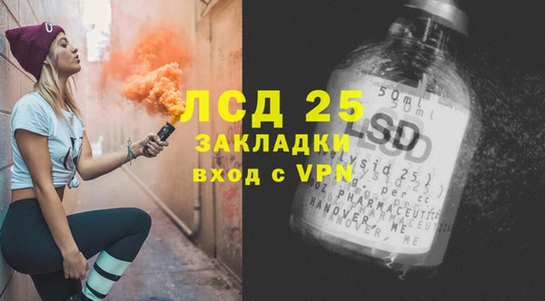 прущие грибы Гусиноозёрск