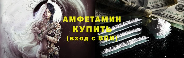 прущие грибы Гусиноозёрск
